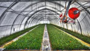 optimal kinematic design of a manipulator for early detection of stresses in greenhouse crops