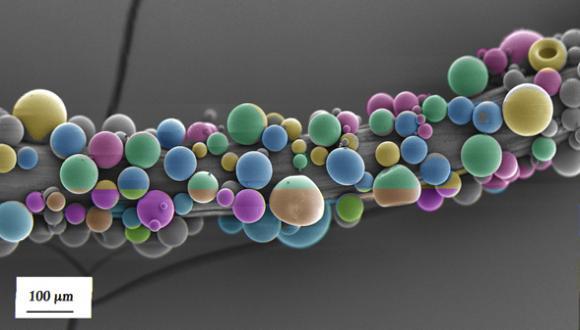 Biodegradable fiber with a coating of drug-eluting cells (Prof. Meital Zilberman)