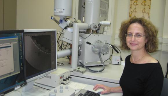 Dr. Zahava Barkay, in charge of the scanning electron microscope at the Wolfson Centre for Materials Research